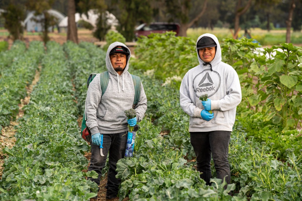 240118-alba-immigrant-farmworkers-farmland-access-land-access-1-top-Father-Son-courtesy-ALBA